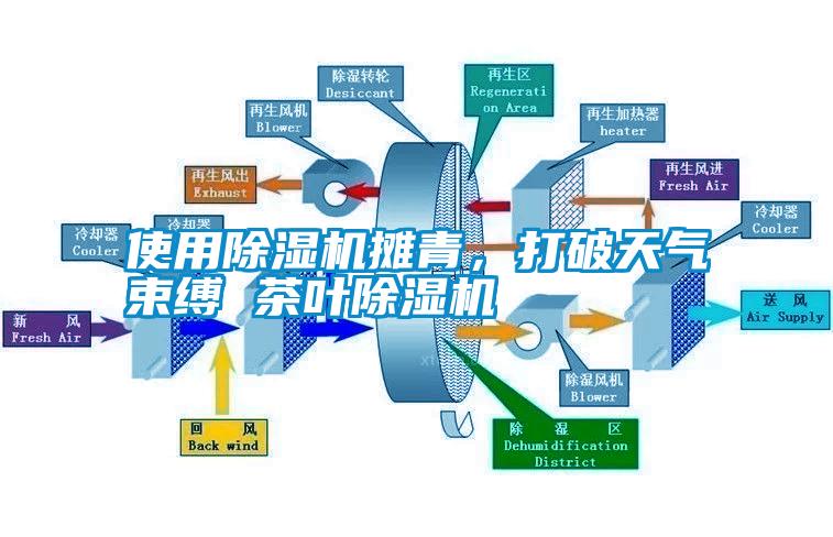 使用除湿机摊青，打破天气束缚 茶叶除湿机