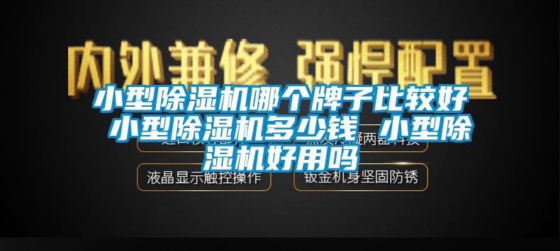 小型除湿机哪个牌子比较好 小型除湿机多少钱 小型除湿机好用吗