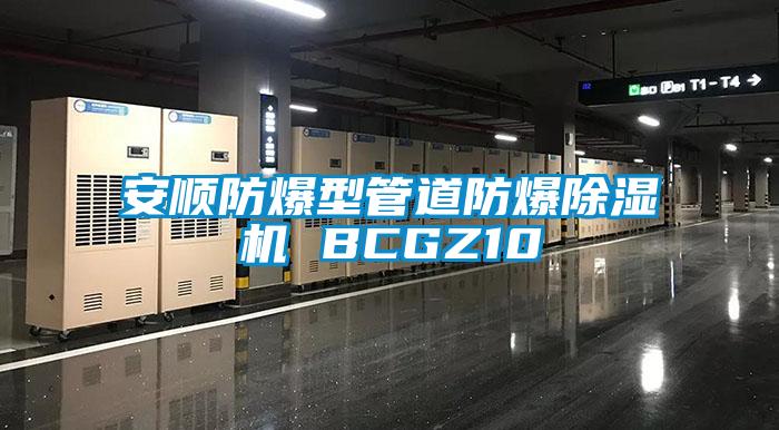 安顺防爆型管道防爆除湿机 BCGZ10